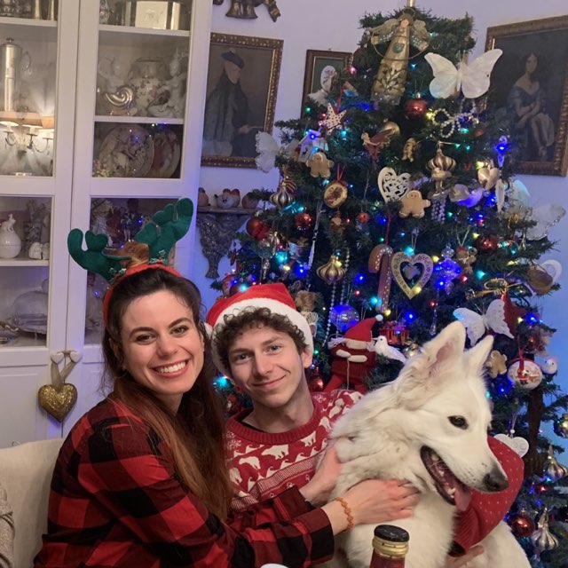 My dog at Christmas with the family
